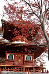 紅葉と人工物の紅のコラボ