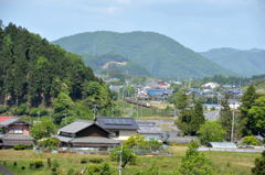 素朴な風景と３８１系