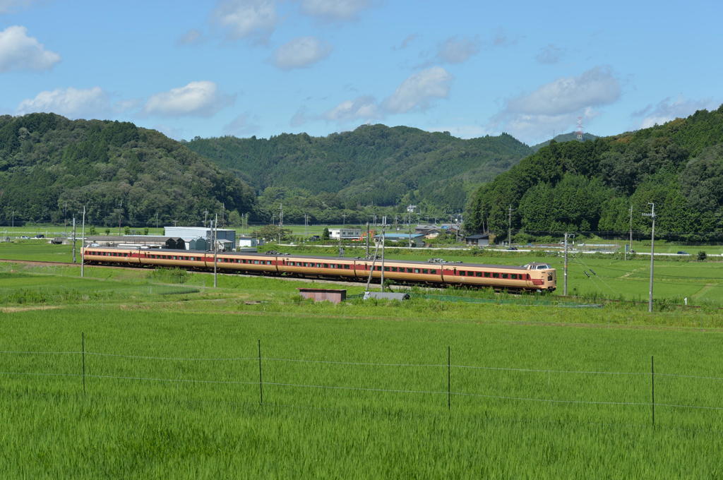 381系ラストサマーNo2