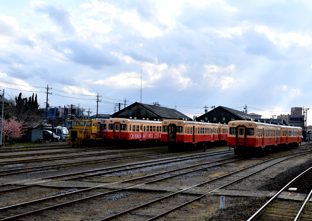 早春賦・房総半島横断の旅Ｎｏ１４