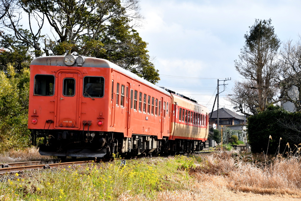 早春賦・房総半島横断の旅Ｎｏ４