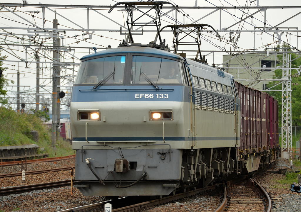 ５８３系前練習電Ｎｏ１１