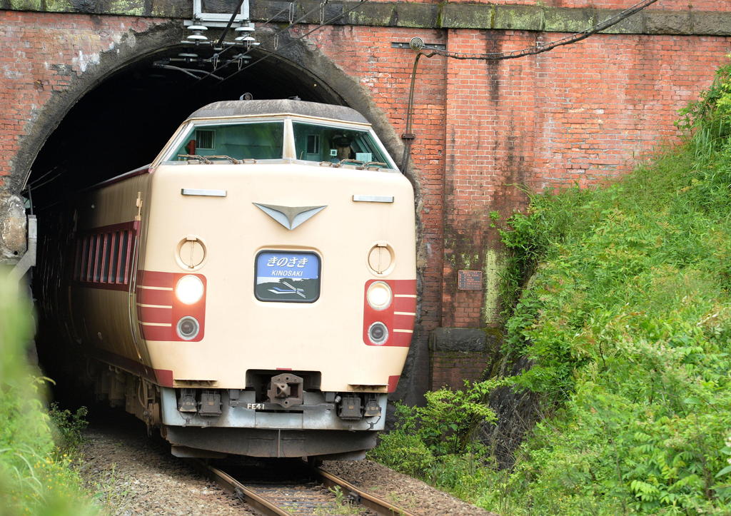トンネルを抜ける381系