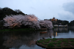 三溪園（夕暮れ２）