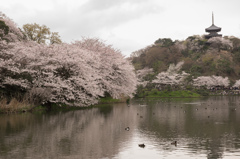 三溪園（曇り２）