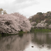 三溪園（曇り２）
