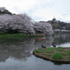 三溪園（曇り１）