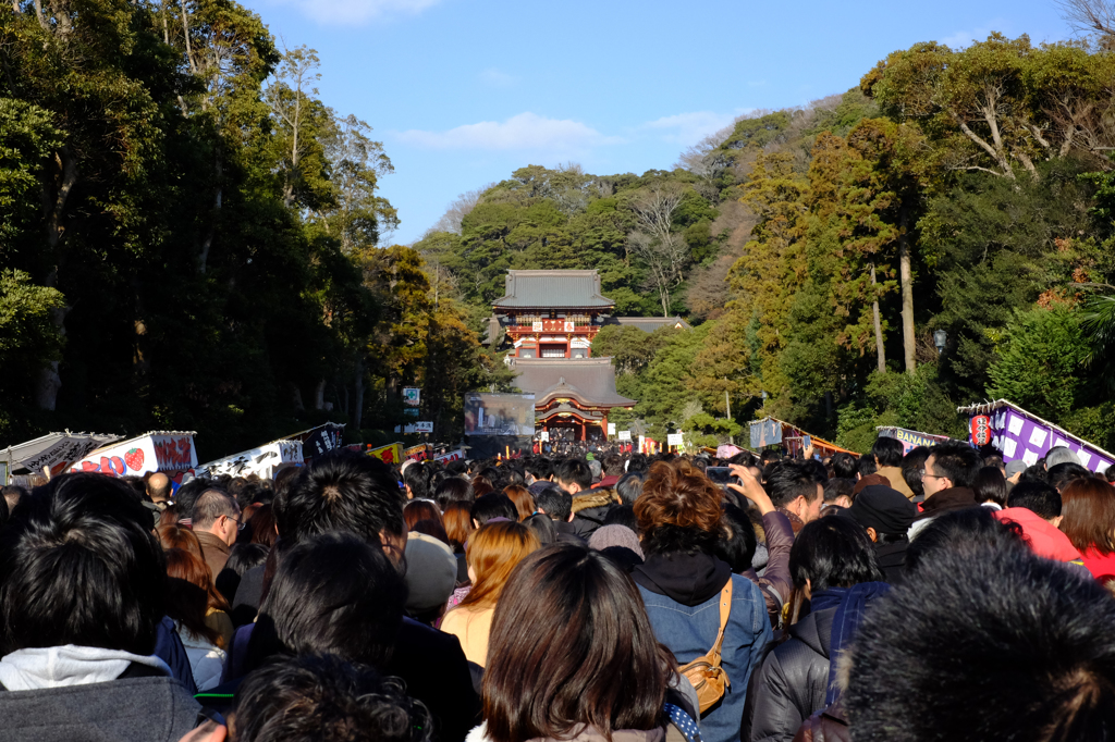 初詣の参拝客