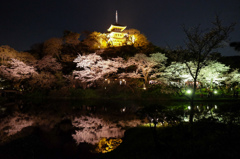 三溪園（ライトアップ２）