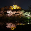三溪園（ライトアップ２）