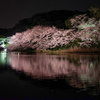 三溪園（ライトアップ４）