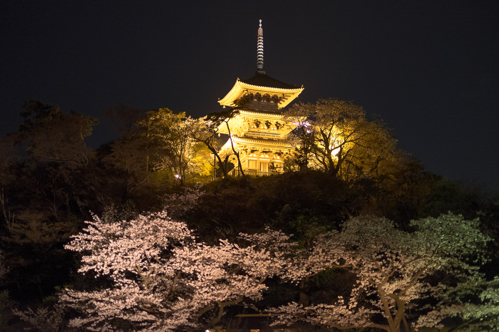 三溪園（ライトアップ１）