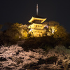 三溪園（ライトアップ１）
