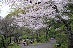 三溪園（曇り４）