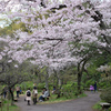 三溪園（曇り４）