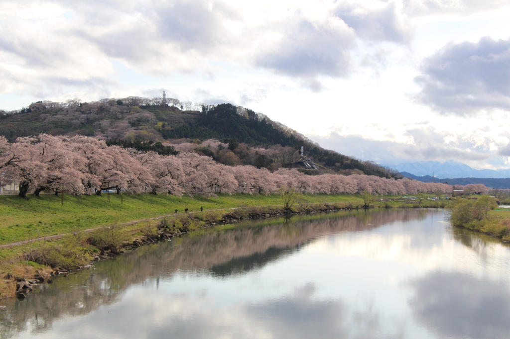 一目千本桜