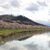 一目千本桜