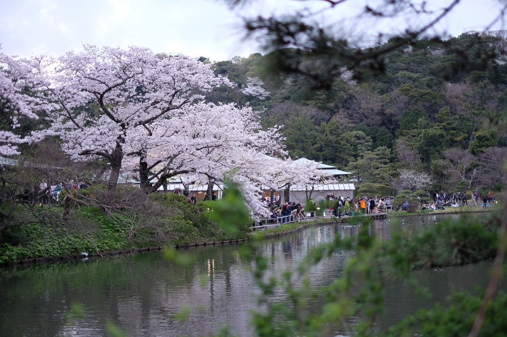 三溪園（曇り６）