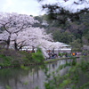 三溪園（曇り６）