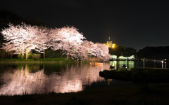 三溪園（ライトアップ５）