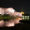 三溪園（ライトアップ５）