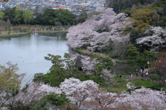 三溪園（曇り３）