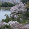 三溪園（曇り３）