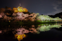 三溪園（ライトアップ３）
