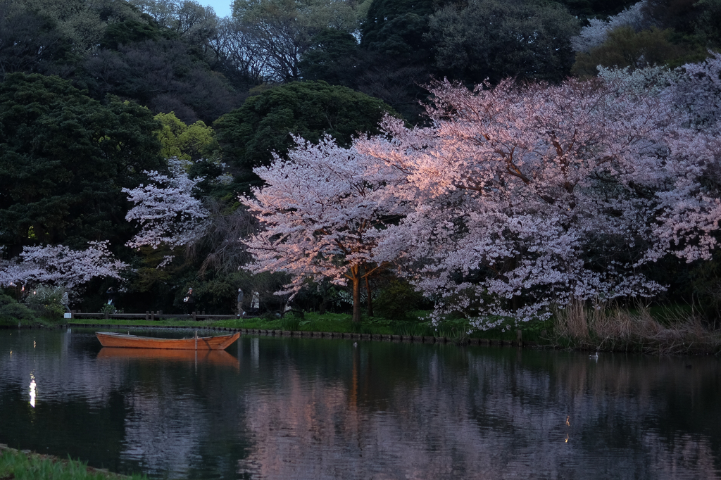 三溪園（夕暮れ４）