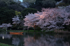 三溪園（夕暮れ４）