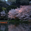 三溪園（夕暮れ４）
