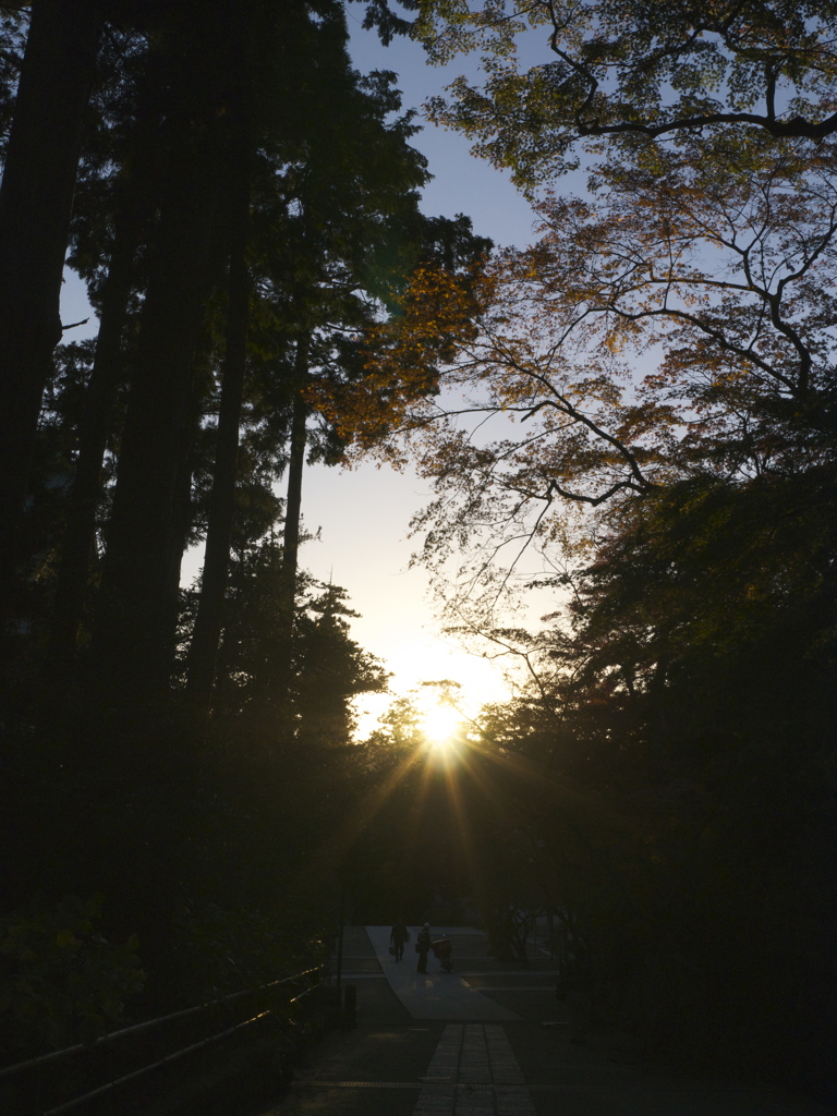 Enkakuji #4