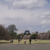 Parklife #9