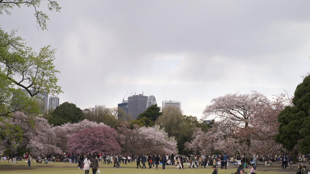 Parklife #10