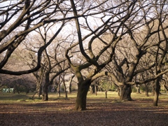 Parklife #8