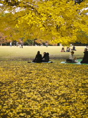 Parklife #32