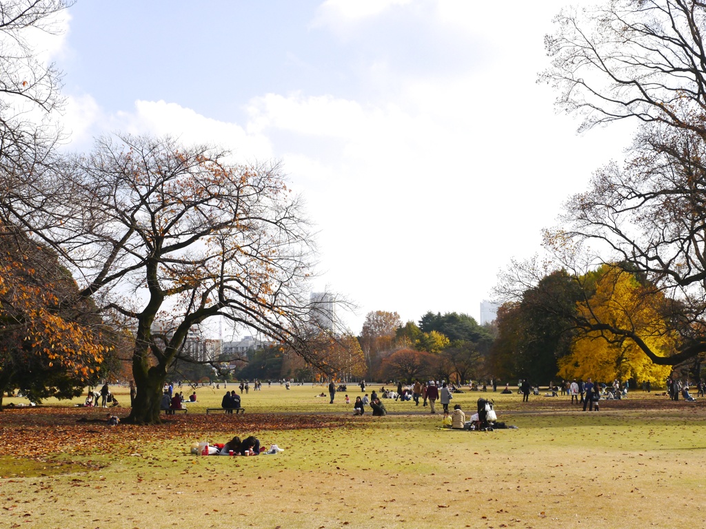 Parklife #34