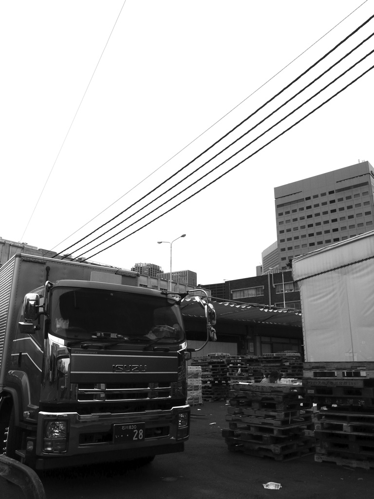 Tokyo #117