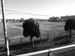 Suburban #4