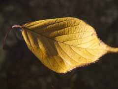 December