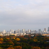 Parklife #37