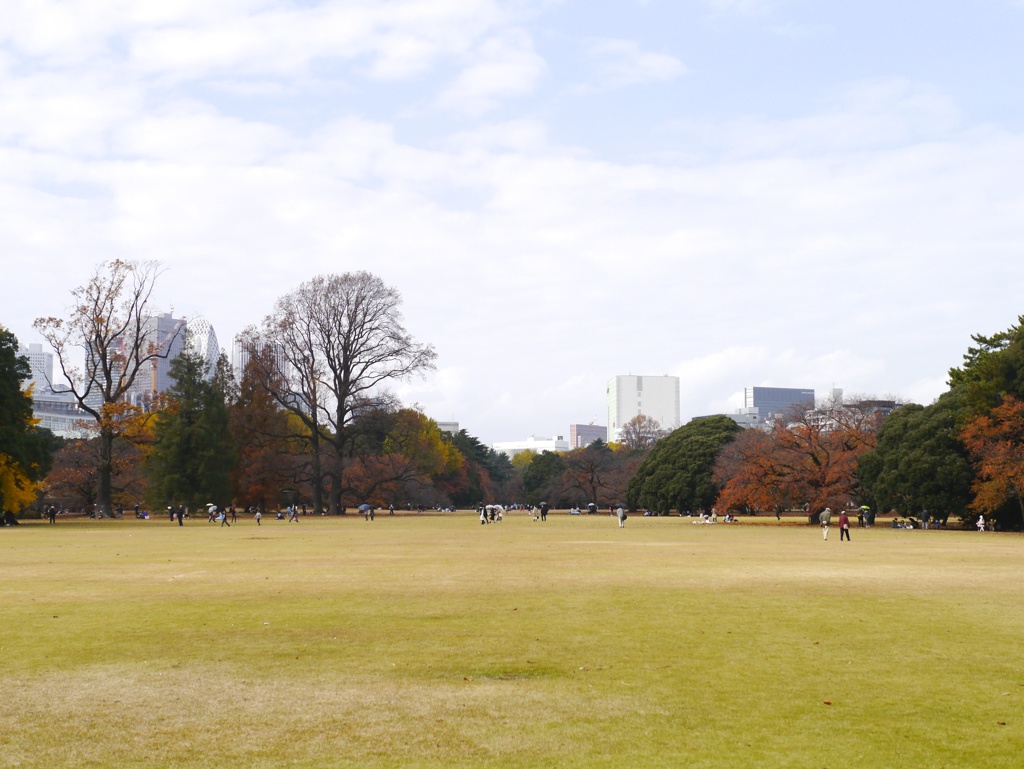 Parklife #26