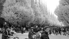 Parklife #19