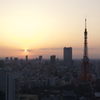 Tokyo #24