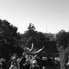 Tsurugaoka hachimangu