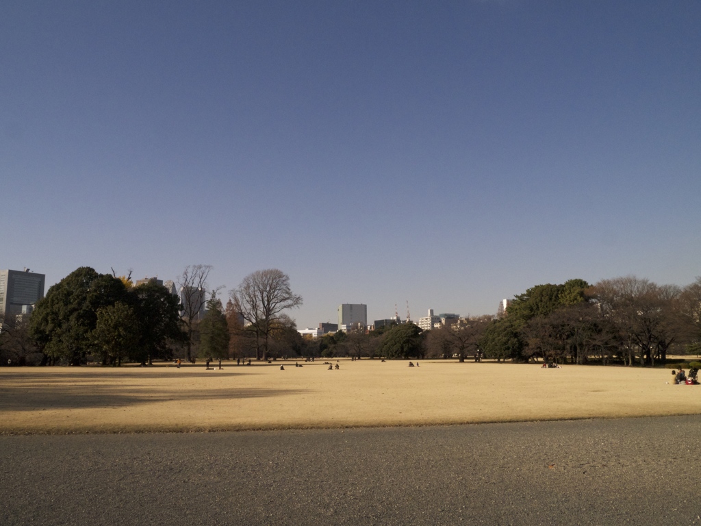 Parklife #5