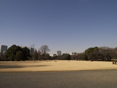 Parklife #5