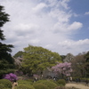 Tokyo #31