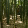 Houkokuji