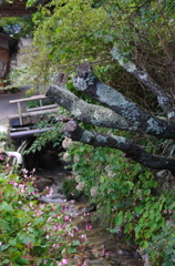 三千院の小川